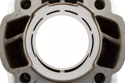 Polini 70cc (EVO 3) Cylinderkit 12mm Minarelli Horisontell