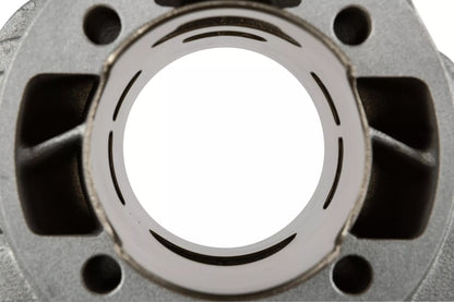 Top Performances TPR 70cc Cylinderkit - Minarelli - 10mm