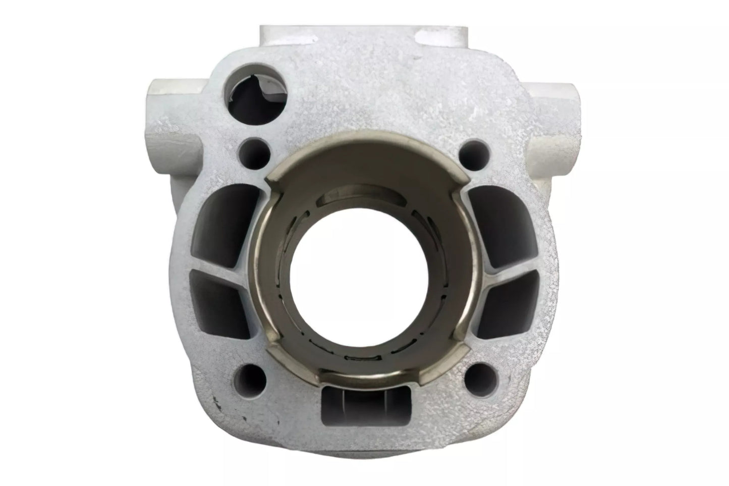 Bidalot RF70WR 70cc Cylinderkit AM6
