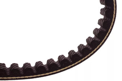 Polini Evolution V-rem Aramid – Förstärkt - Minarelli