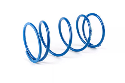 Polini Hi-Speed Evolution 2 Variator D.16mm – Minarelli / Kina 2-takt