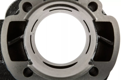 Top Performances Black Trophy 70cc Cylinderkit – Minarelli - 10mm